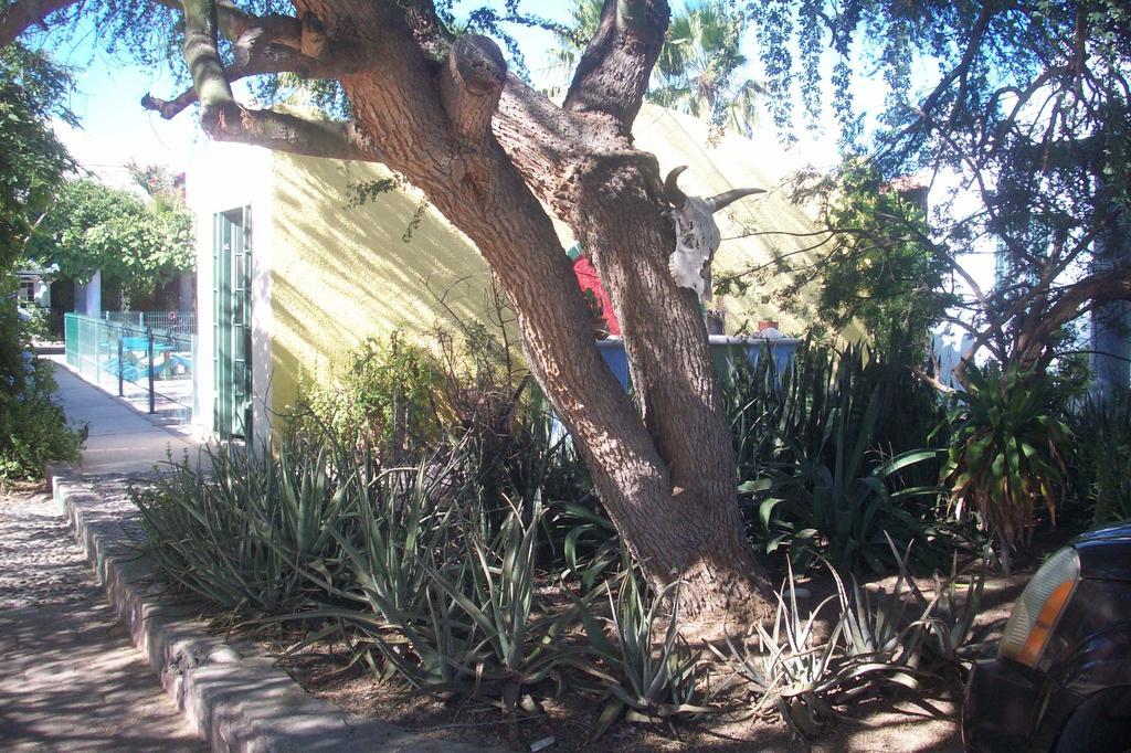 Casabuena B&B La Paz Esterno foto